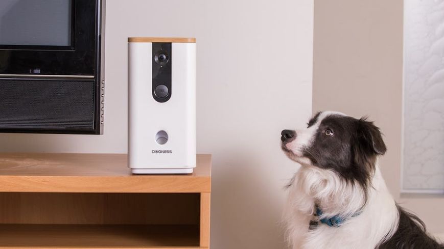 Интерактивная умная камера Dogness Cam Treater HD 1080Р для собак и кошек с диспенсером корма, ночным видением T03 фото