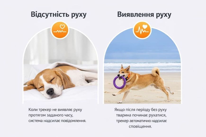 GPS трекер для собак Micodus MP50G 4G LTE з акумулятором 4000 мАг MC-50B фото