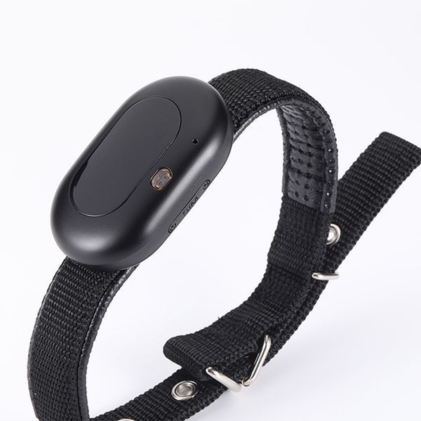GPS трекер для собак і котів Reachfar V41 з 4G, маленький нашийник з GPS для тварин з великим акумулятором 1300мАч чорний V41W фото