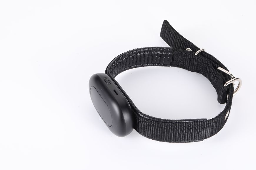 GPS трекер для собак і котів Reachfar V41 з 4G, маленький нашийник з GPS для тварин з великим акумулятором 1300мАч чорний V41W фото