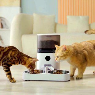 Автоматична годівниця для кішок і собак PetLife 5L з камерою на 2 миски, смарт кормушка для животных с WiFi DU5L фото