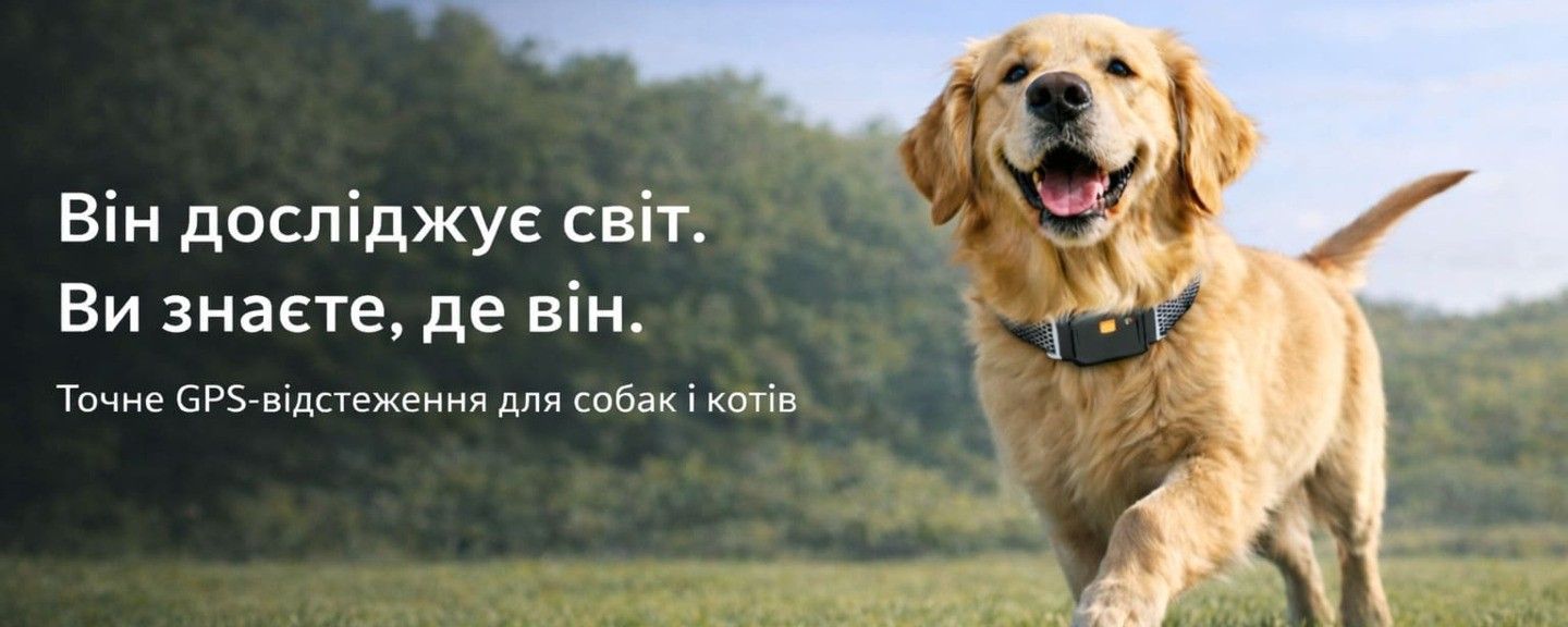 GPS трекер для собак и кошек — точное онлайн отслеживание