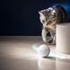 Игрушка для кошек мяч Dogness T06 интерактивный автоматический мячик с кошачьей мятой DOG-T06 фото 3