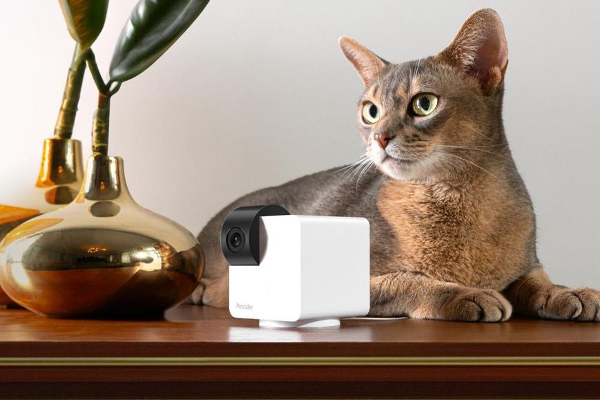 Компактна HD-камера Petcube Cam 360 (P36010US) 1417309 фото