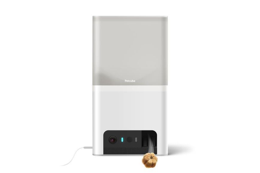 Интерактивный комплекс HD-камера Petcube Bites 2 Lite для животных 1396409 фото