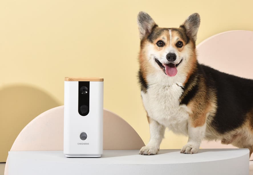 Dogness-Cam